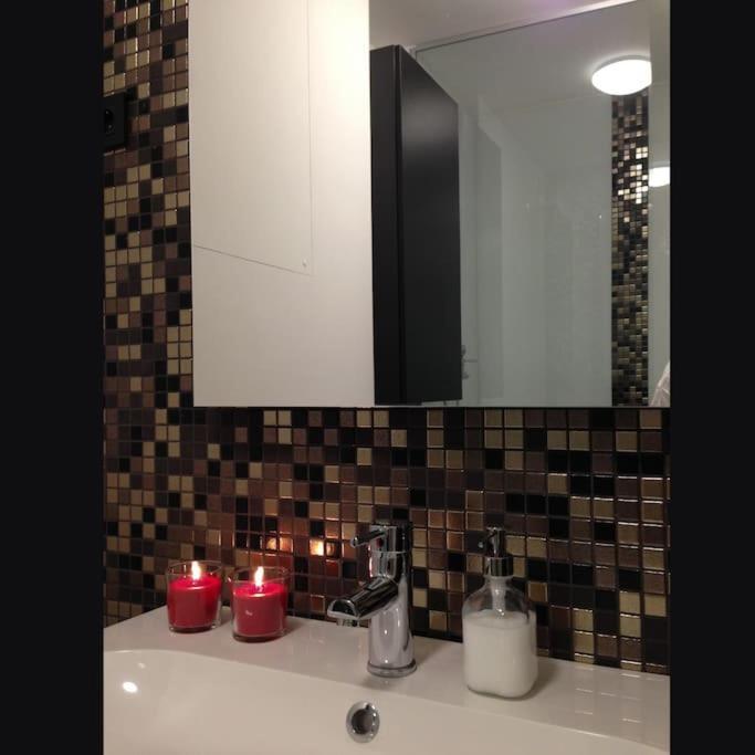 Gorgeous Flat With Garage Laibach