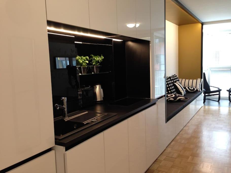 Gorgeous Flat With Garage Laibach